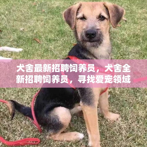宁静致远 第3页
