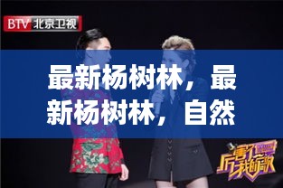 杨树林，自然与人文的和谐交响之旅