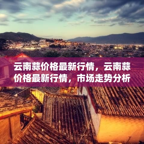 云南蒜价格最新行情揭秘，市场走势分析与预测