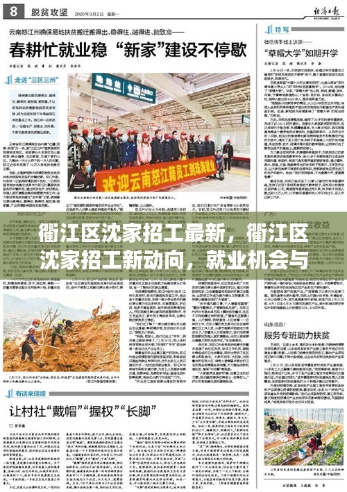 衢江区沈家招工新动态，就业机会与地区发展的双向驱动增长