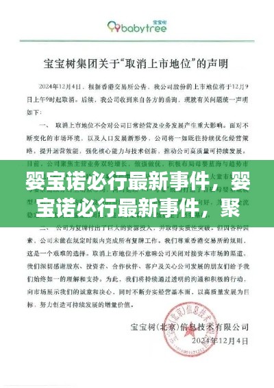 婴宝诺必行最新事件，行业变革与未来发展聚焦
