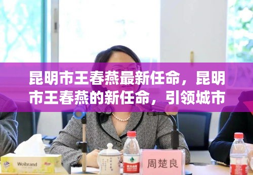 昆明市王春燕新任命揭晓，引领城市发展的杰出领导者