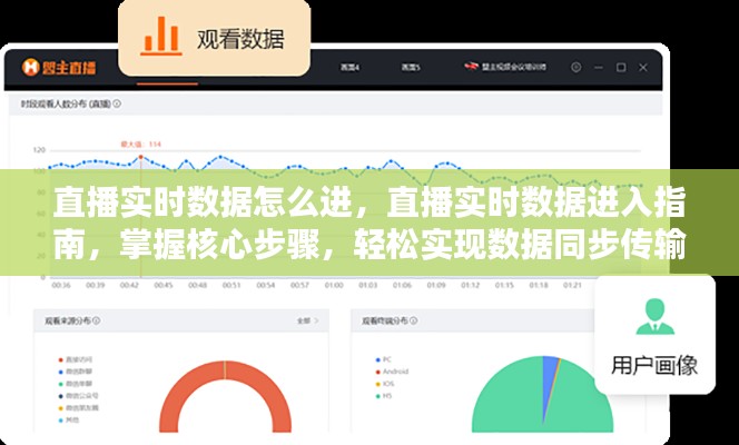 直播实时数据进入指南，掌握核心步骤，实现轻松同步传输