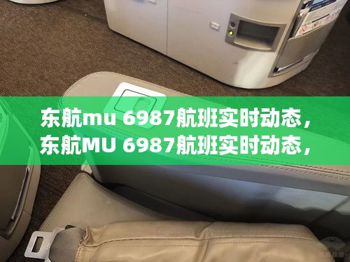 东航MU 6987航班实时动态追踪，探索航空旅行的最新进展与独特体验