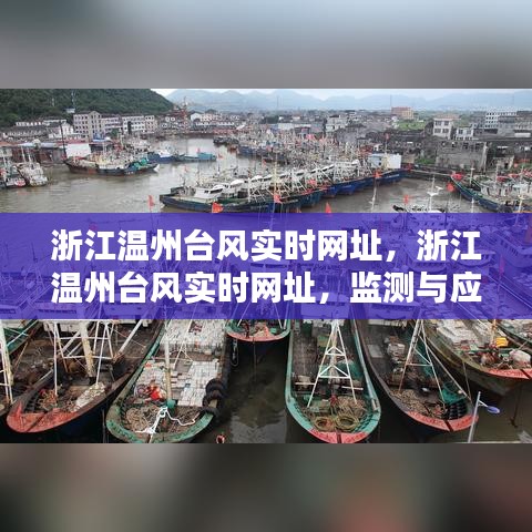 浙江温州台风实时网址监测与数字化应对力量