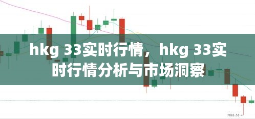 hkg 33实时行情分析与市场洞察全面解读