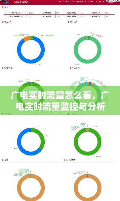 广电实时流量监控与分析，洞悉动态，优化运营策略