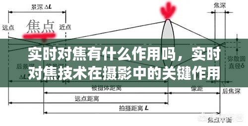 实时对焦技术，摄影中的精准对焦与动态捕捉关键角色