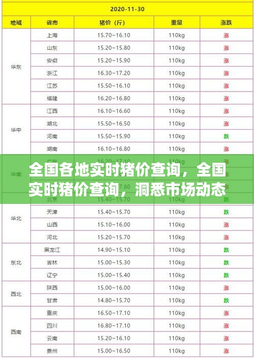 全国实时猪价查询，洞悉市场动态，智慧决策养殖产业