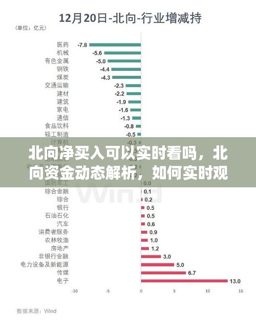 北向资金动态解析，如何实时观察北向净买入情况