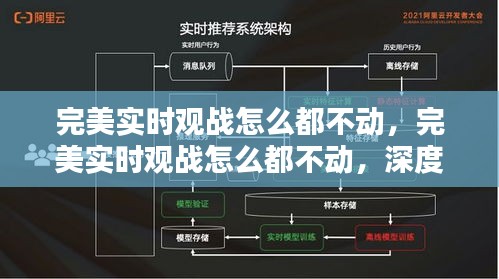 完美实时观战卡顿深度解析与解决方案探讨