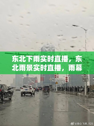 东北雨景实时直播，雨幕下的东北风情独特韵味展现