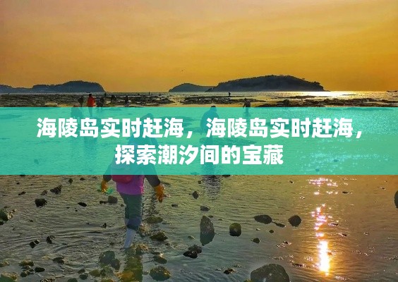 海陵岛实时赶海探索潮汐宝藏的神秘之旅