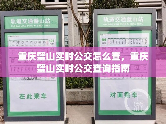 重庆璧山实时公交查询指南，如何轻松查看公交动态信息？