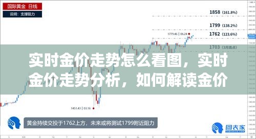 实时金价走势解读与分析，洞悉走势图内的秘密