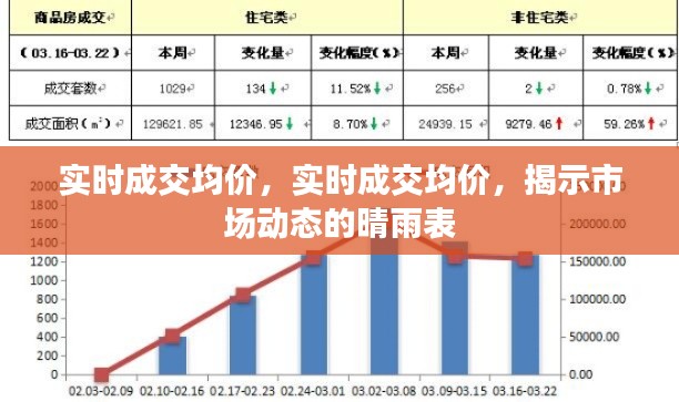 实时成交均价，市场动态的精准晴雨表