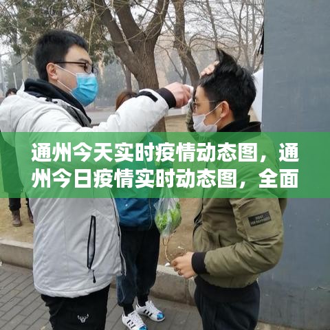 通州疫情实时动态解析与应对策略，今日疫情动态图全面解读