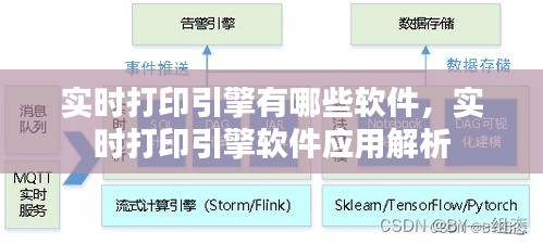 实时打印引擎软件应用解析，探究实时打印引擎软件及其功能特点