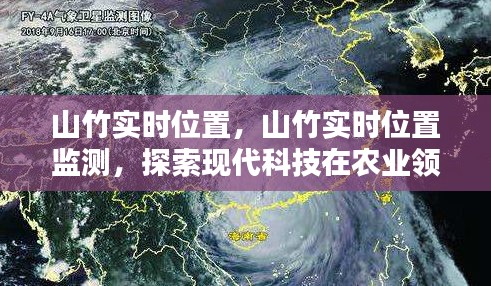 现代科技在农业领域的新应用，山竹实时位置监测探索