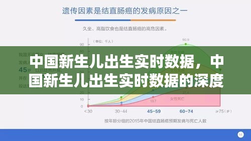 中国新生儿出生实时数据深度解析报告