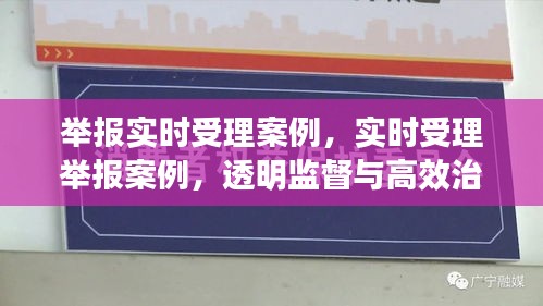 新时代典范，透明监督与高效治理下的实时受理举报案例