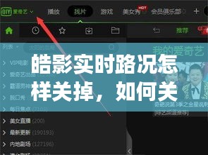 如何关闭皓影实时路况显示功能？详细步骤解析。