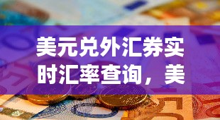 美元兑外汇券实时汇率查询，掌握全球货币转换最新动态