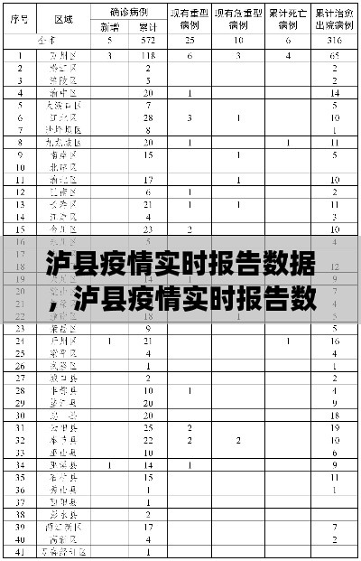 泸县疫情实时报告，洞悉防控进展与应对策略的最新数据