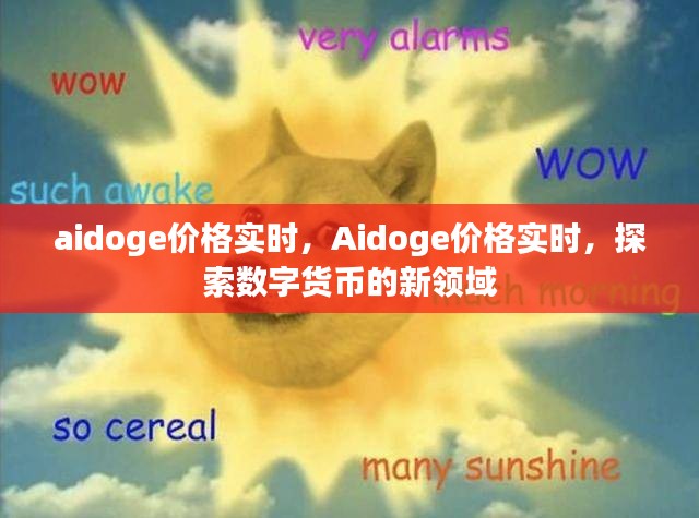 Aidoge价格实时探索，数字货币的新领域动态