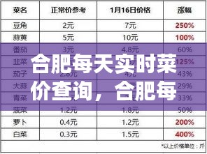 合肥实时菜价查询，透明化菜市场，便捷生活从此开始