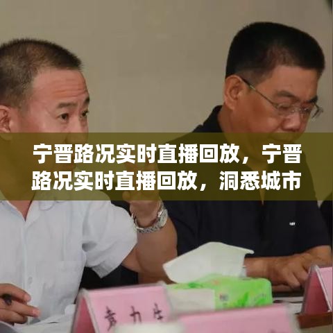 宁晋路况实时直播回放，洞悉城市交通脉络，路况直播回顾与解析