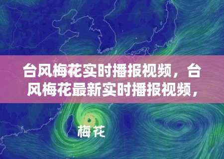 台风梅花最新实时播报视频，追踪风暴动态，保障安全应对措施