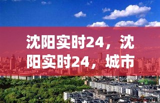 沈阳城市脉搏的24小时实时记录