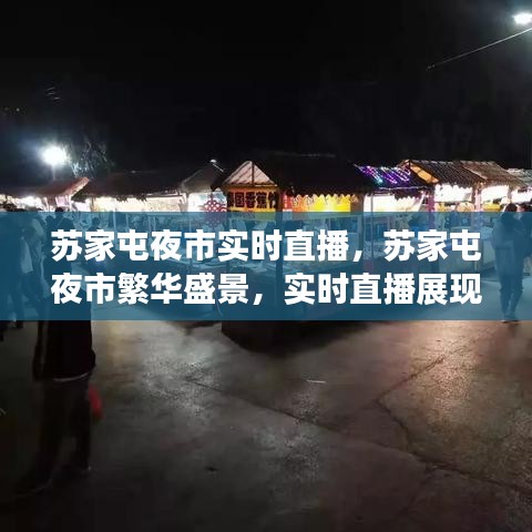 苏家屯夜市夜经济魅力实时直播展现繁华盛景