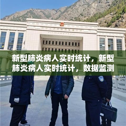 新型肺炎病人实时统计及数据监测与疫情应对分析综述