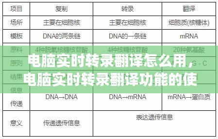 电脑实时转录翻译功能使用指南，轻松掌握实时翻译技巧