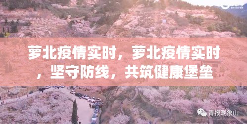 萝北疫情实时更新，坚守防线，共筑健康堡垒
