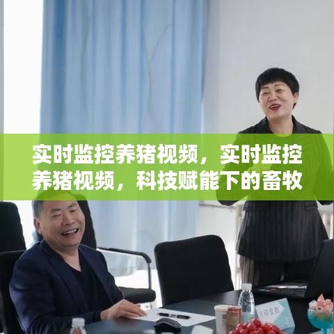 科技赋能下的养猪实时监控视频，畜牧业智能化管理新时代探索