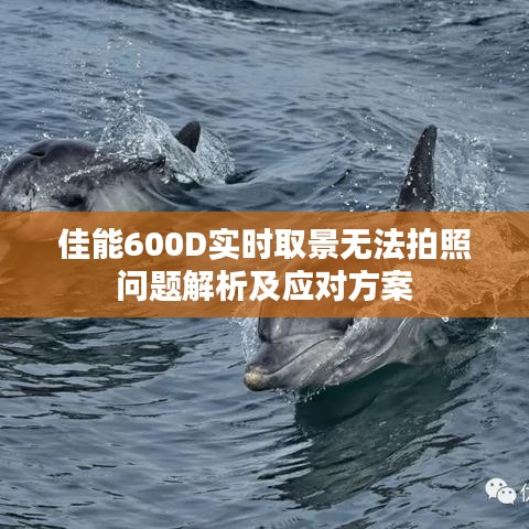佳能600D实时取景无法拍照问题详解及解决方案
