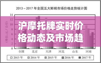 沪摩托牌实时价格动态与市场趋势深度解析