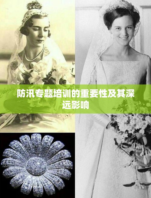 防汛专题培训的重要性及其深远影响