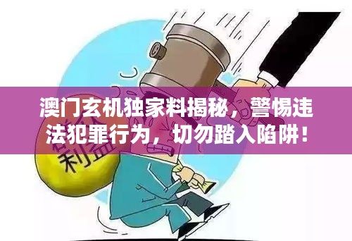 澳门玄机独家料揭秘，警惕违法犯罪行为，切勿踏入陷阱！