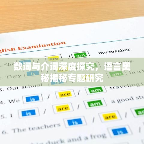 数词与介词深度探究，语言奥秘揭秘专题研究