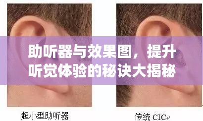 助听器与效果图，提升听觉体验的秘诀大揭秘！
