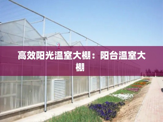 高效阳光温室大棚：阳台温室大棚 