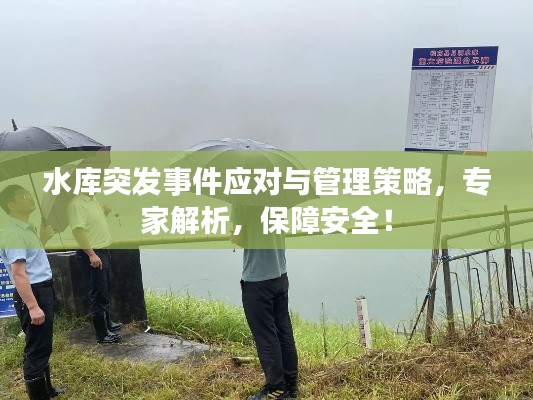 水库突发事件应对与管理策略，专家解析，保障安全！