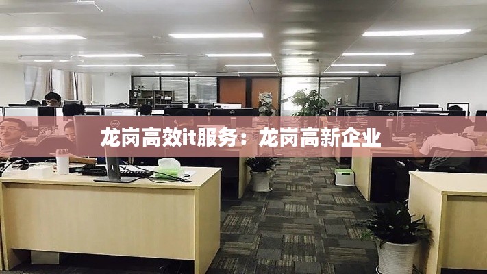 龙岗高效it服务：龙岗高新企业 