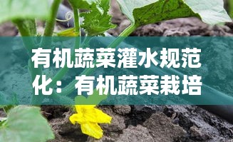 有机蔬菜灌水规范化：有机蔬菜栽培的水肥管理技术 