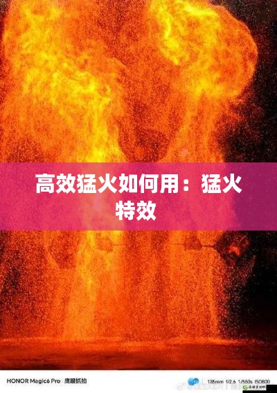 黜衣缩食 第2页