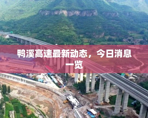 一丝不苟 第2页